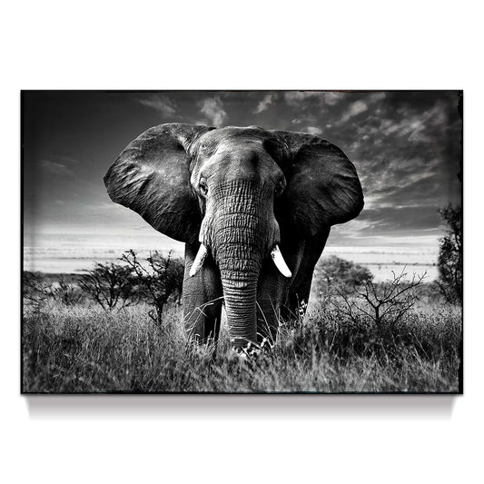 Elephant Black & White Wall Art - Rustic Canvas Painting - African Animal Picture - Natural Artwork for Bathroom & Bedroom Decor - 16x12 Inches