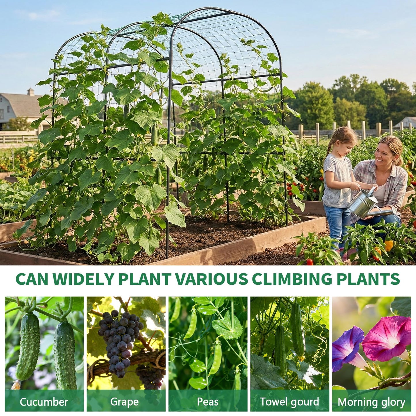 SUNYRISY Garden Arch Trellis for Climbing Plants Outdoor, 83in Tall Plant Support Arbor Trellis for Yard Garden Raised Bed Planting Vine Cucumber Flowers Fruit Vegetables