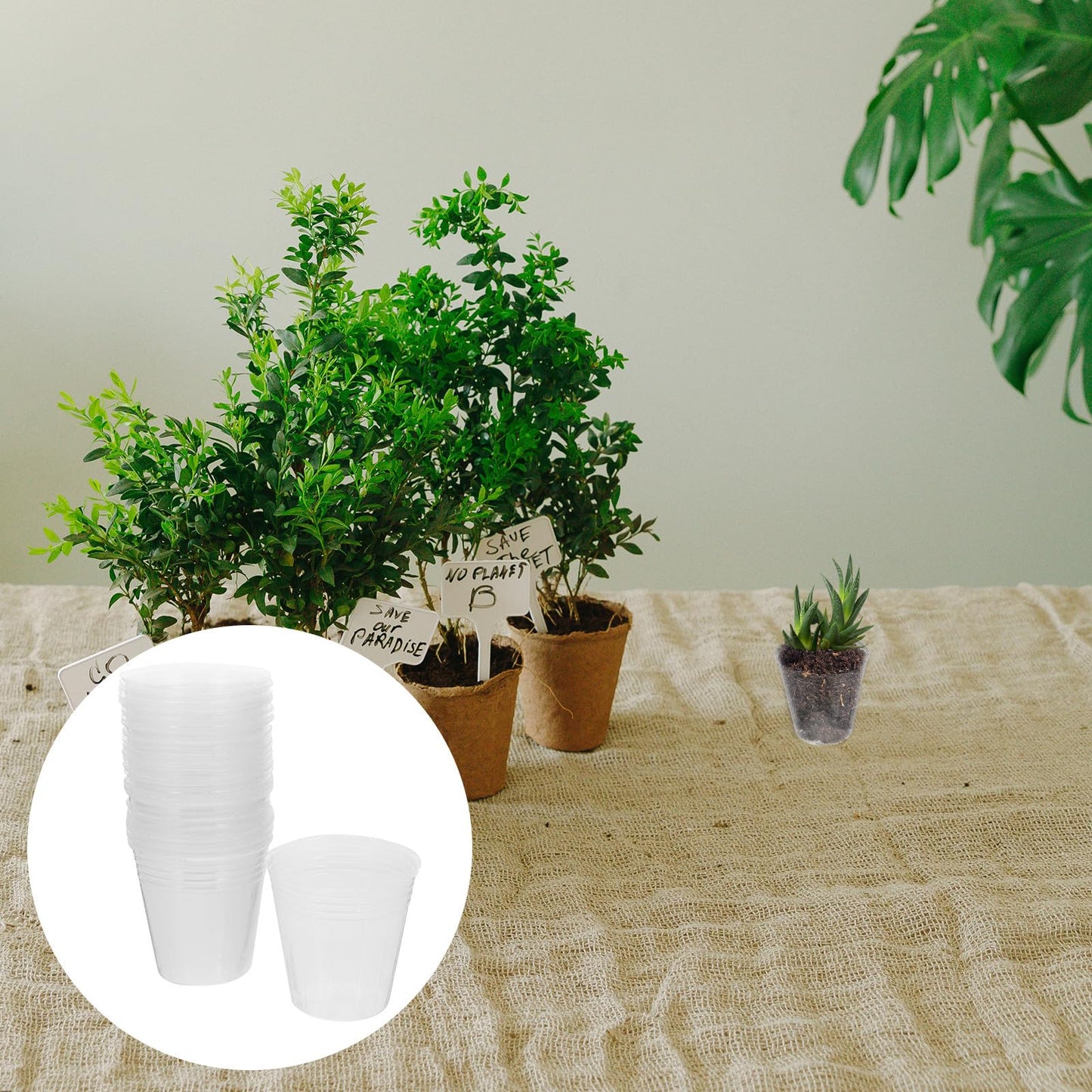 SEWCHICS 50pcs Nursery Plant Pots with Drainage Holes, 2.5 Inch Plastic Plant Starter Pots for Orchids, Succulents, Seedlings, Indoor and Outdoor Gardening