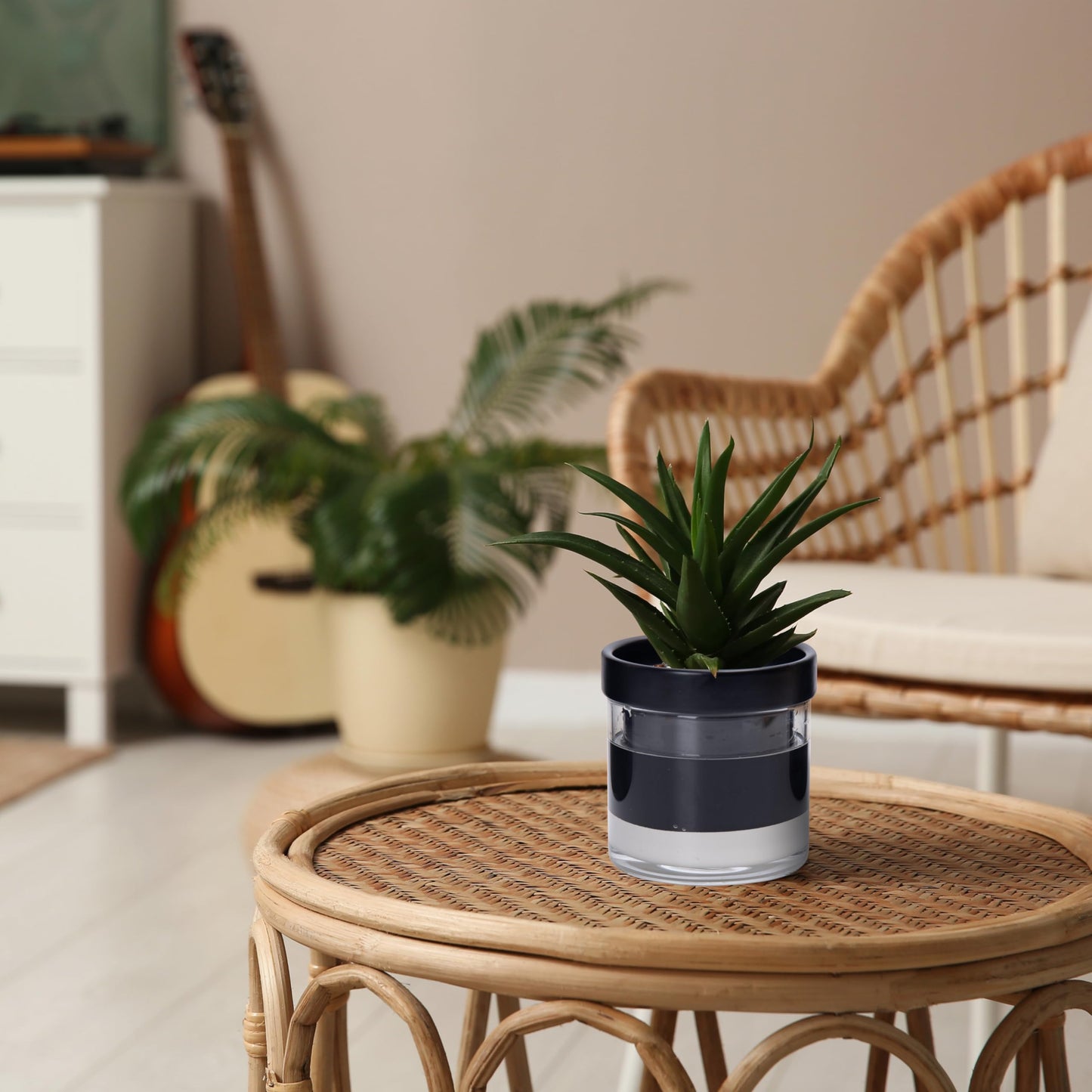 Phoenix Vine 4 Inch Self Watering Planter Pot, Black Terracotta Clay Pot with Glass Reservoir for Indoor Plants, Herbs, Flowers, Set of 4, 52-C-E-4