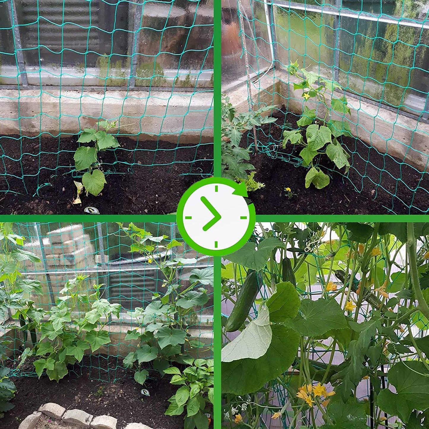 Trellis Netting for Climbing Plants - Heavy Duty Garden Trellis Netting for Cucumber, Vine, Fruits & Vegetables Tomato Plants Trellis Net, Climbing Vining Plants (1-Pack 24.6' x 6.6'Ft)